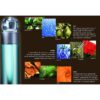 Perfume de hombre Perry Ellis 360 Men 100 ml agua de tocador - Imagen 2