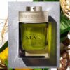 Perfume de hombre Bvlgari Man Wood Essence 100 ml agua de perfume - Imagen 3