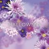Set de mujer Jesus del Pozo Halloween 4 pzs - Imagen 3